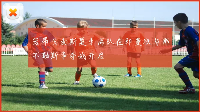 若昂戈麦斯夏季离队在即曼联与那不勒斯争夺战开启