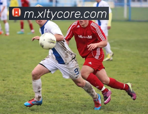 新利体育服务体系